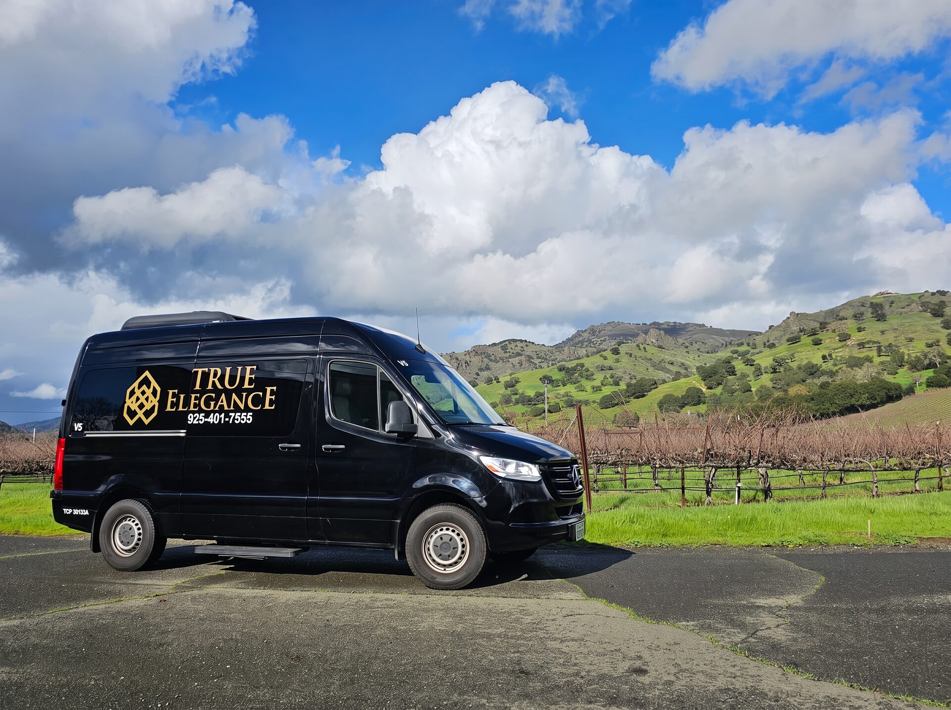 True Elegance Sprinter van in the vineyard hills — group transportation to Livermore Valley Harvest Wine Celebration, Livermore