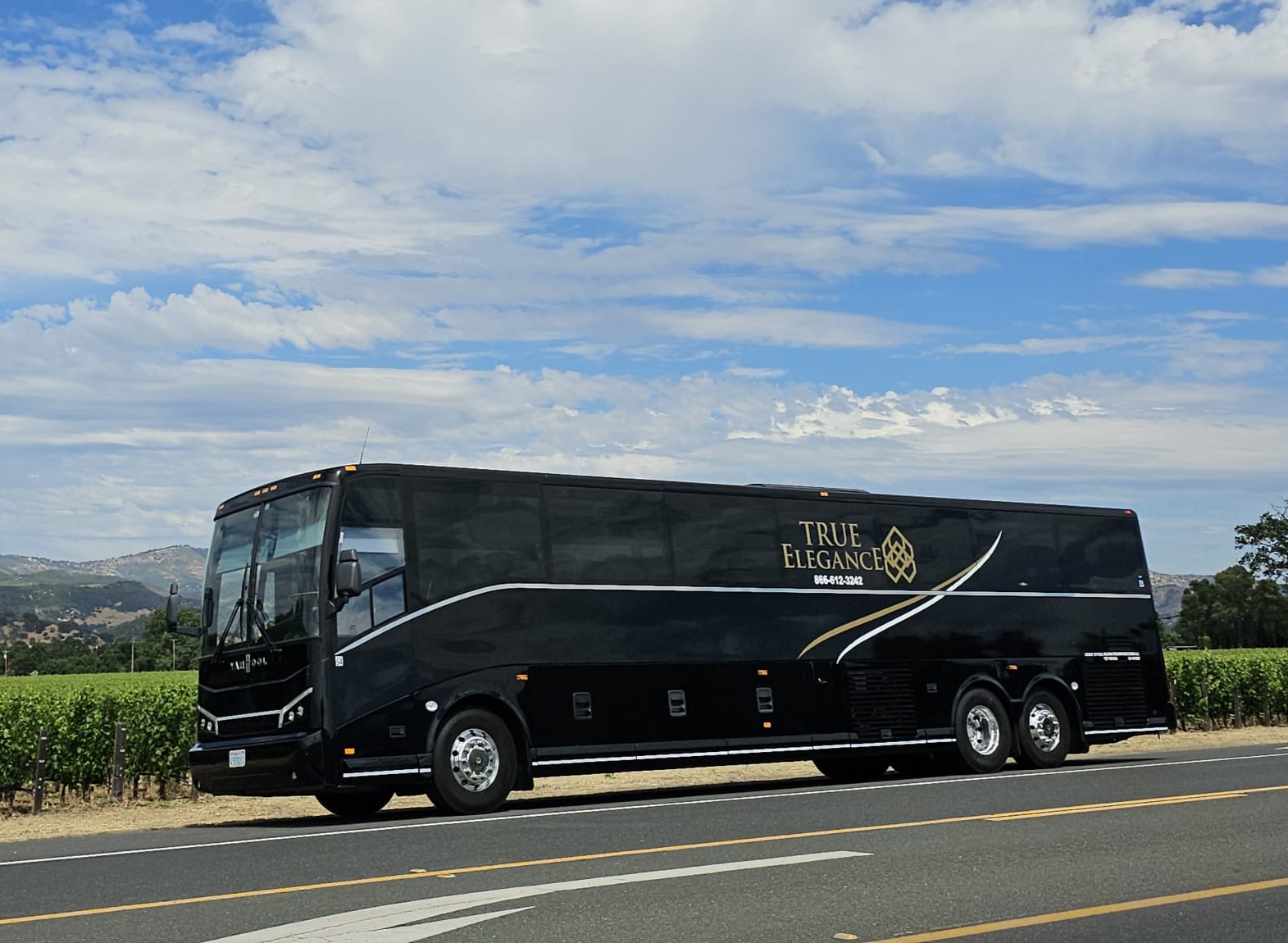 True Elegance 56-passenger motorcoach for Milpitas, California charter bus rental and group transportation
