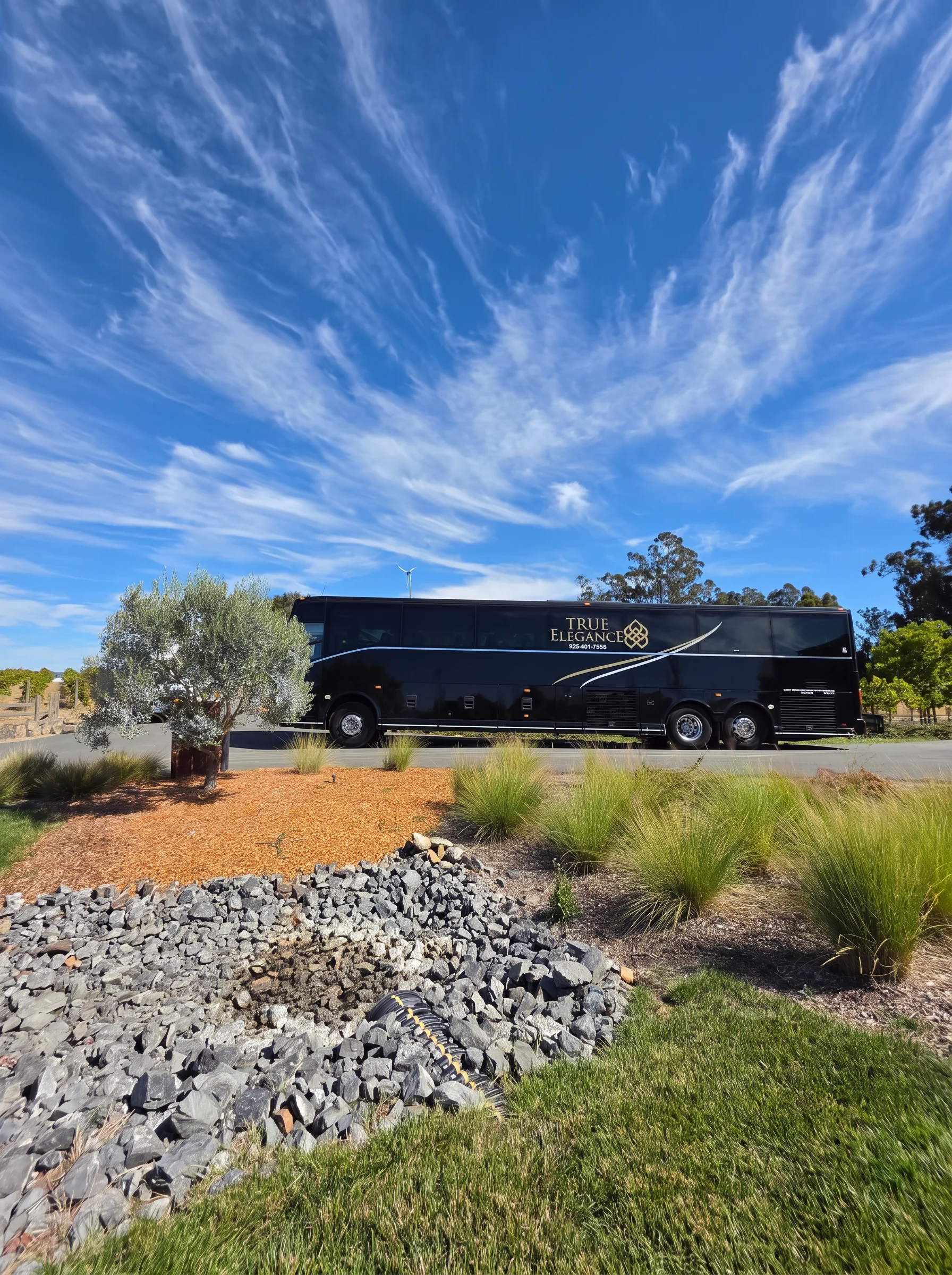 Black True Elegance 56-passenger motorcoach available for San Jose, CA charter bus rental